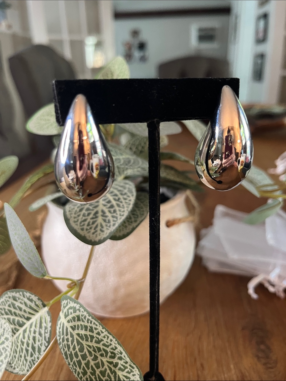 Earrings